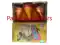 FLOWER POT delux ( 5 pcs)