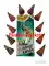 Flower Pots Color Koti (10pcs)