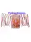 1 1/2' Twinkling Star ( 10 Pcs)